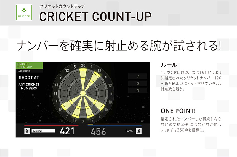 ダーツプロになるには？0からわかるライセンス取得完全ガイド