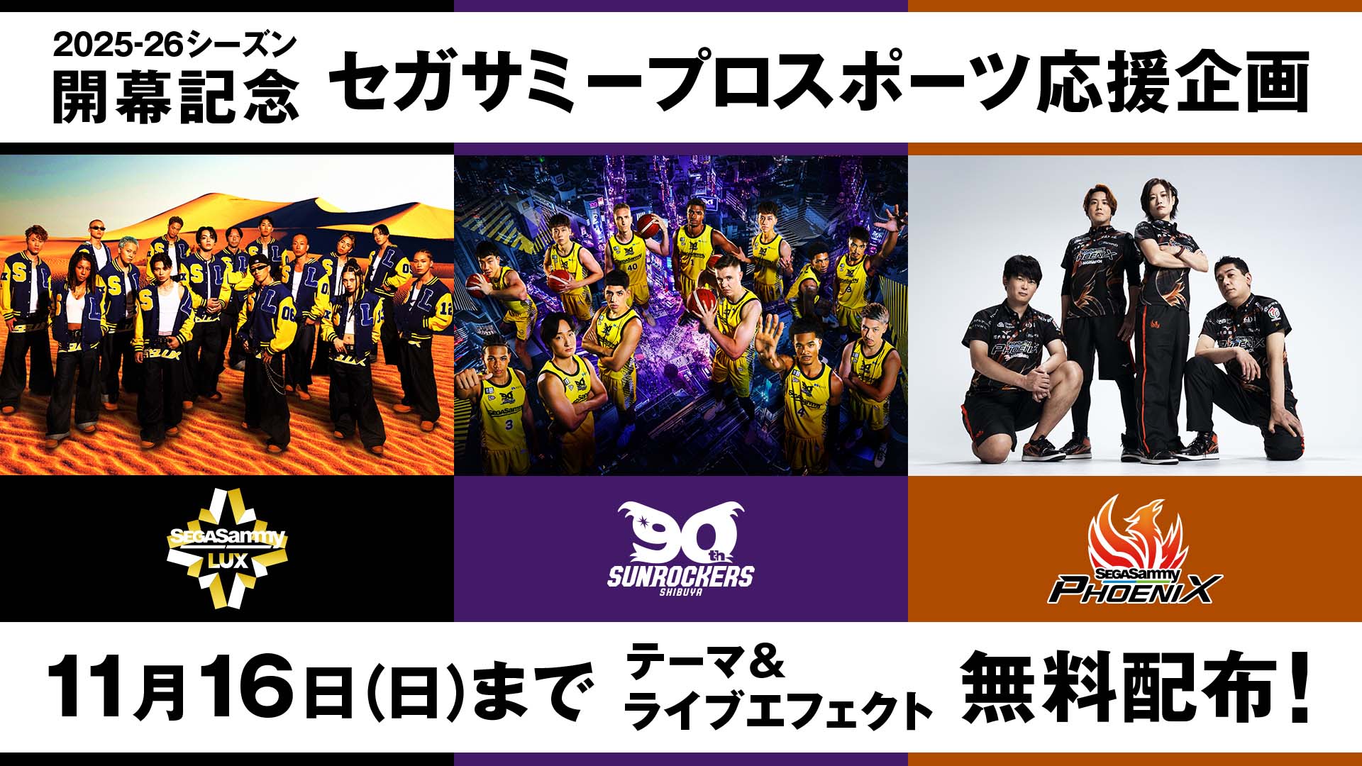 ト*ロ様 ダーツライブ　スペクトラム 楽天市場】DARTSLIVE-ZERO BOARD ダーツライブ ゼロボード（ダーツ