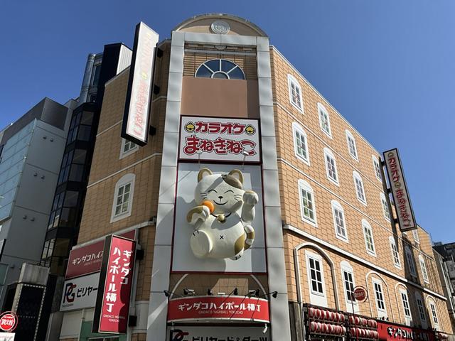 カラオケまねきねこ 静岡本店 (PlayGarden)