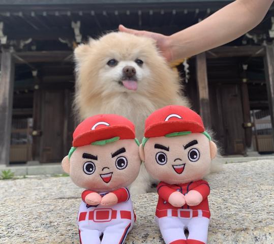 らん丸